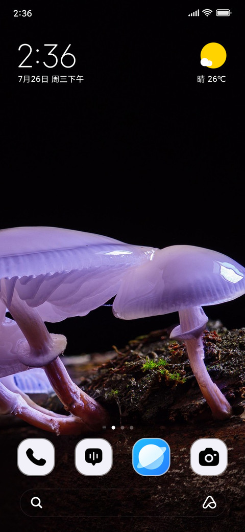 Mushroom Root preview