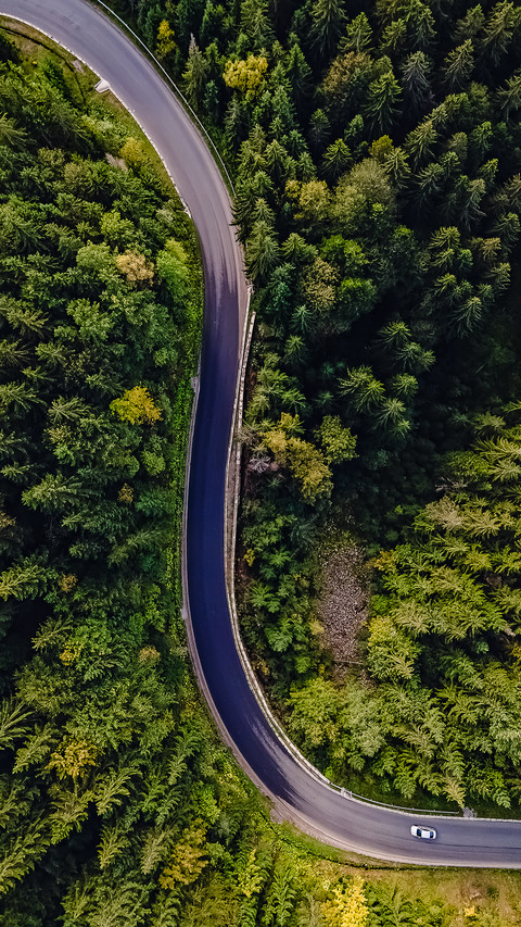 Forest road-05 preview