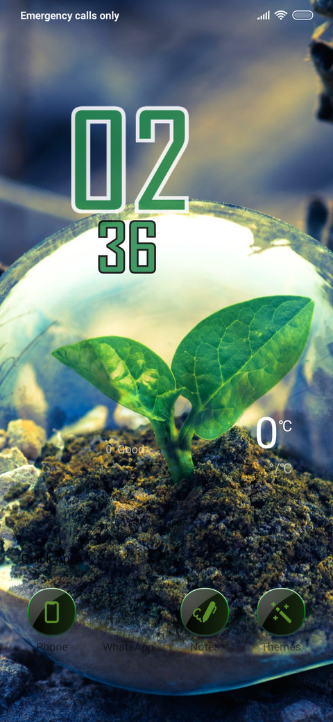 Baby Plant preview