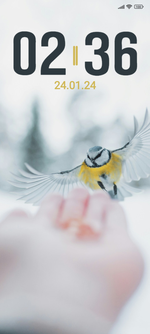 Winter Bird preview