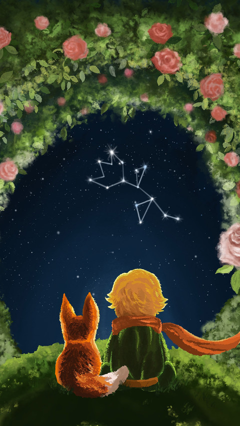 What is the charm of the Little Prince 43 preview