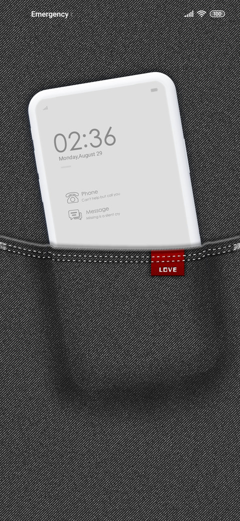 World In Pocket preview