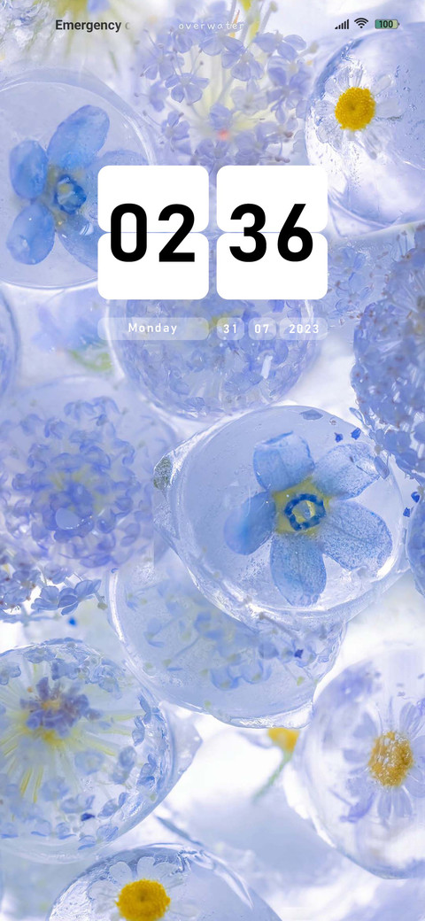 The flower  preview