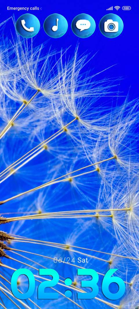 flowers dandelion preview