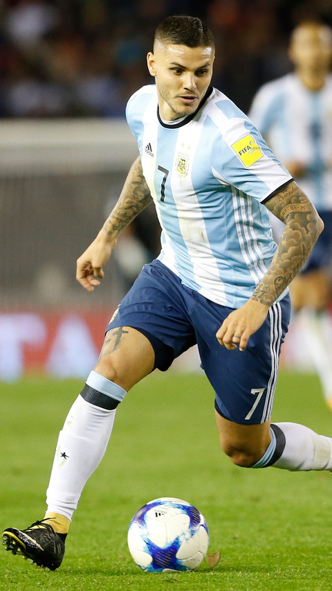 铁皮人伊卡尔迪 preview