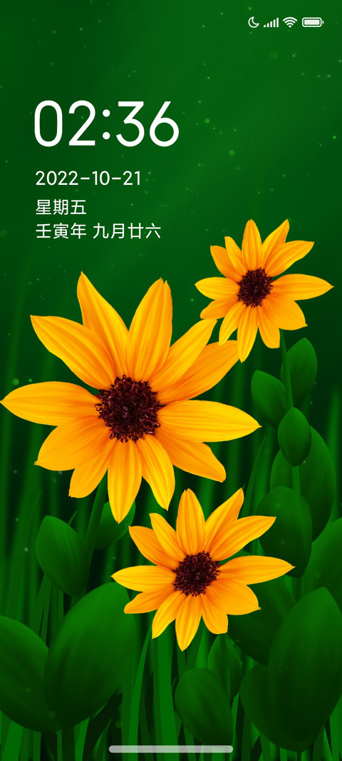 静美绽放 preview