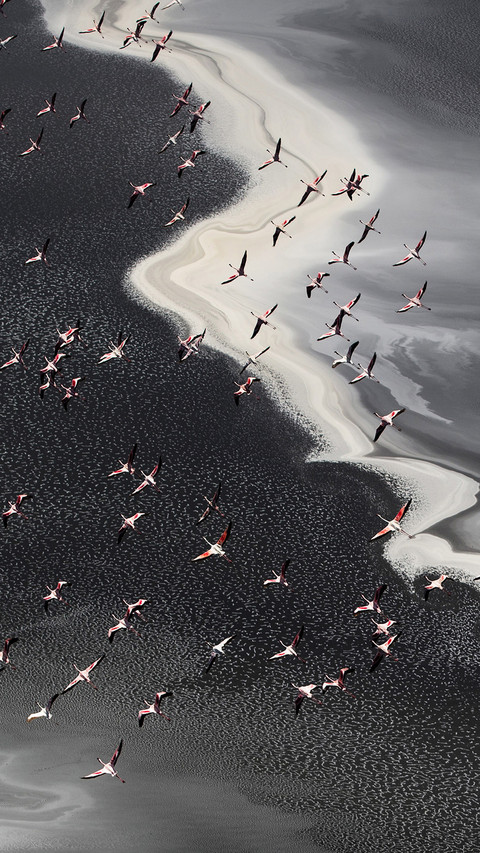 Viewing the world from a drone perspective preview