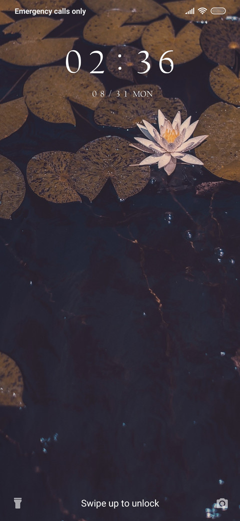 Lotus Lake_3MDS preview