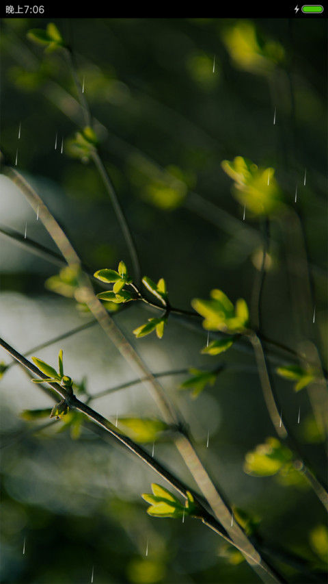 春意萌芽 preview
