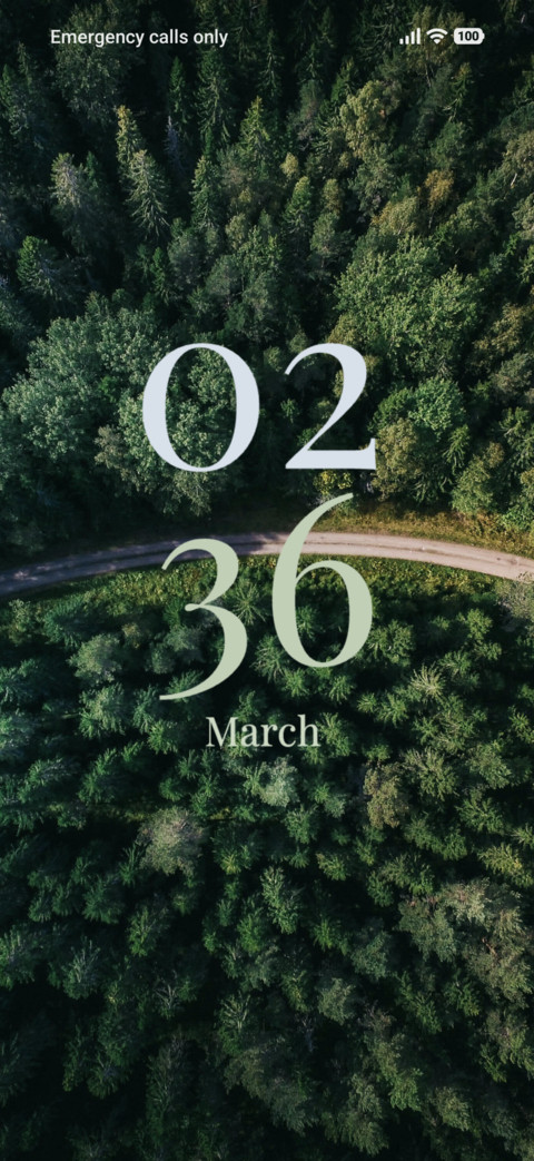 Top View preview