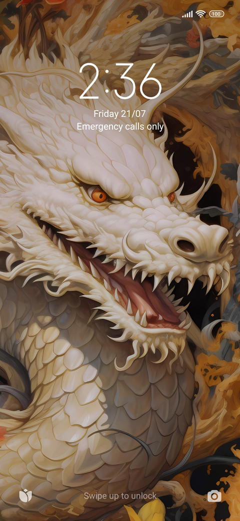 dragon F preview