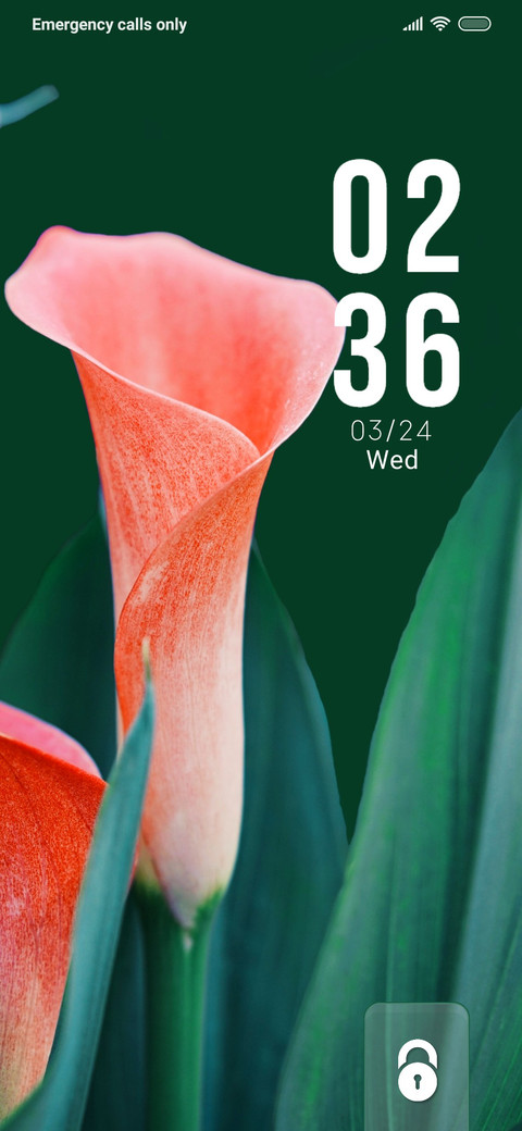 Plant preview