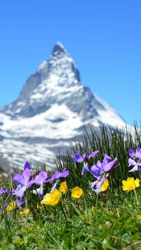 Switzerland (20) preview