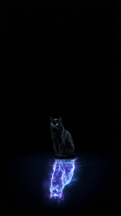 Cosmic Reflection Black Cat Zen preview