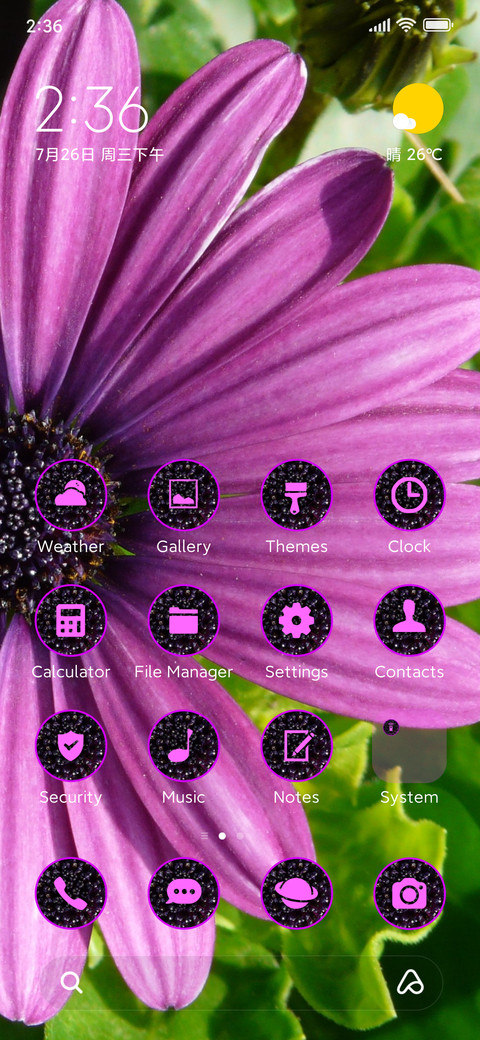 daisy purple preview