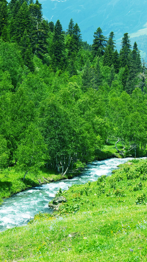 Natural rivers preview
