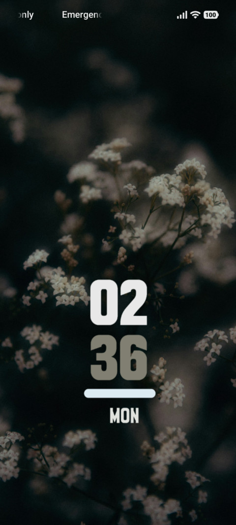 Wild Woods preview