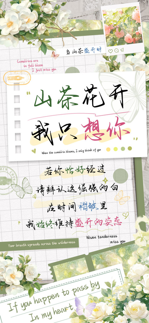 山茶花开我只想你 preview