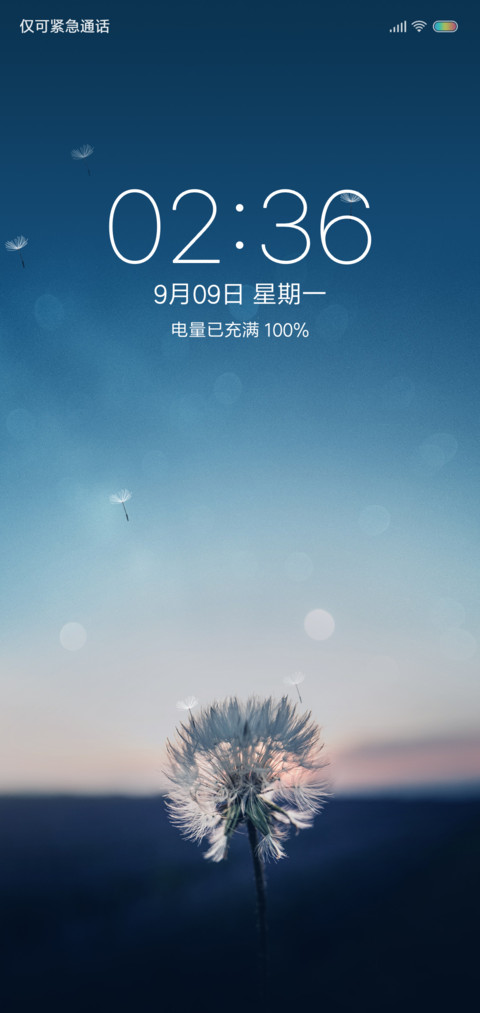 蒲公英的约定 preview