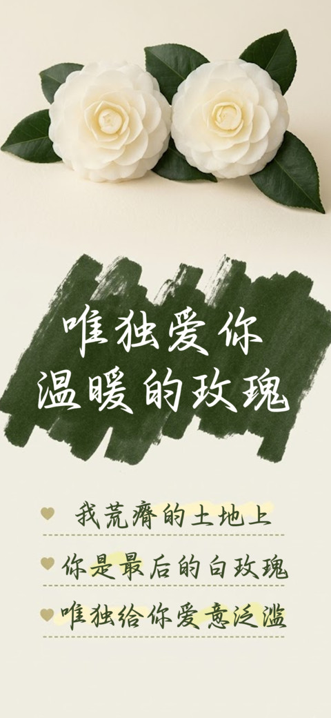 唯独爱你温暖的玫瑰 preview