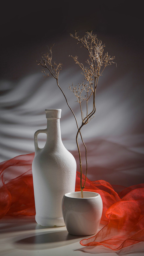 Modern still life with a dry branch in a white vase preview
