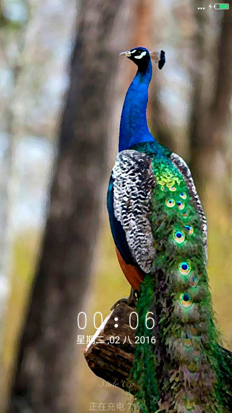 Nature Greenify In Designs  preview