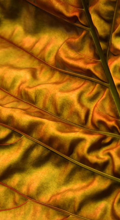 Texture & Pattern (3) preview