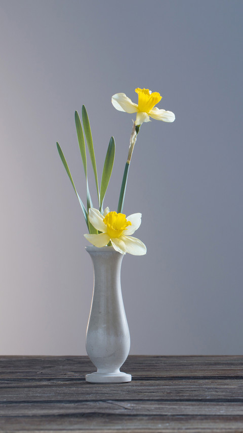 Yellow narcissus in vase on wooden table on dark background preview