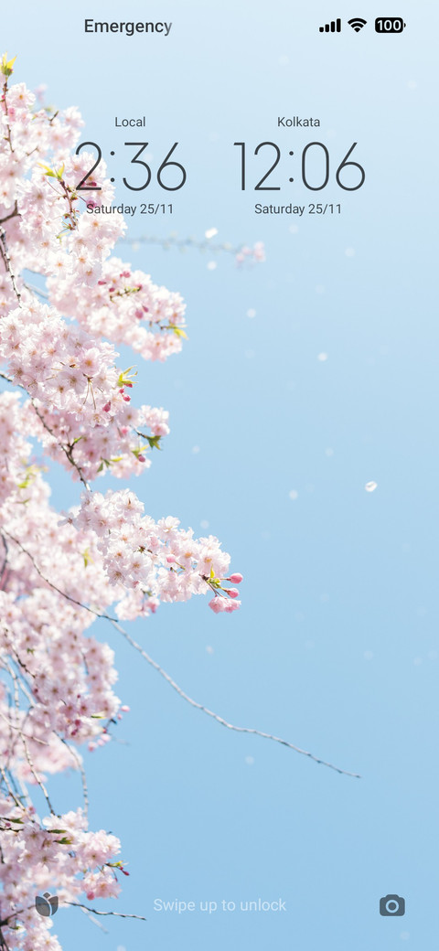 Sakura preview