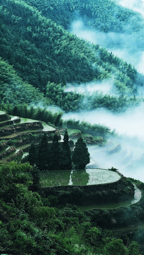 Terraced fields shrouded in mist and clouds preview