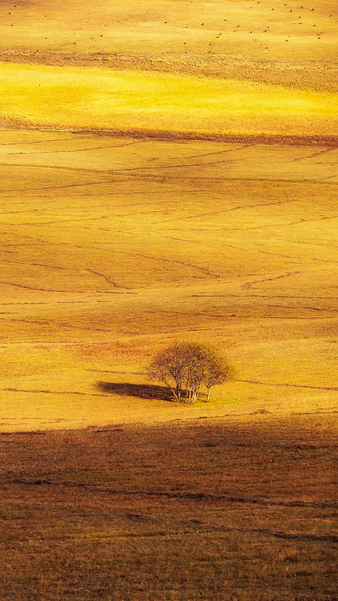 Encounter the golden autumn of the grassland 2 preview