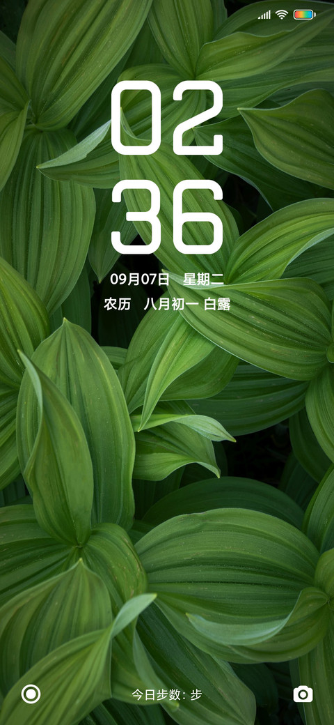 Silky Pro preview