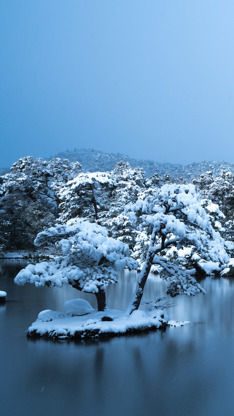 Winter scenery-18 preview