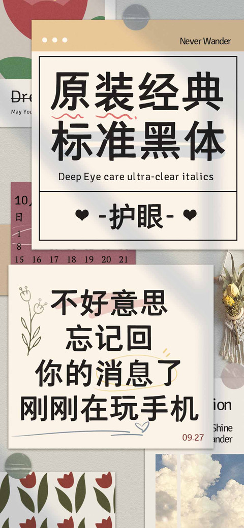 原装经典标准黑体 preview