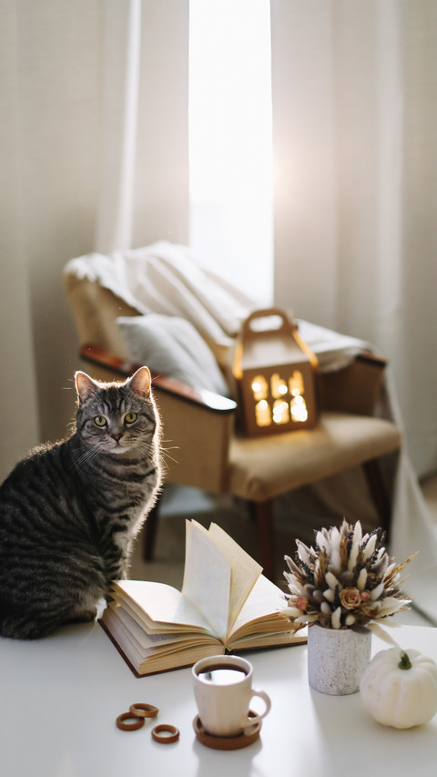 Creative home-01 preview