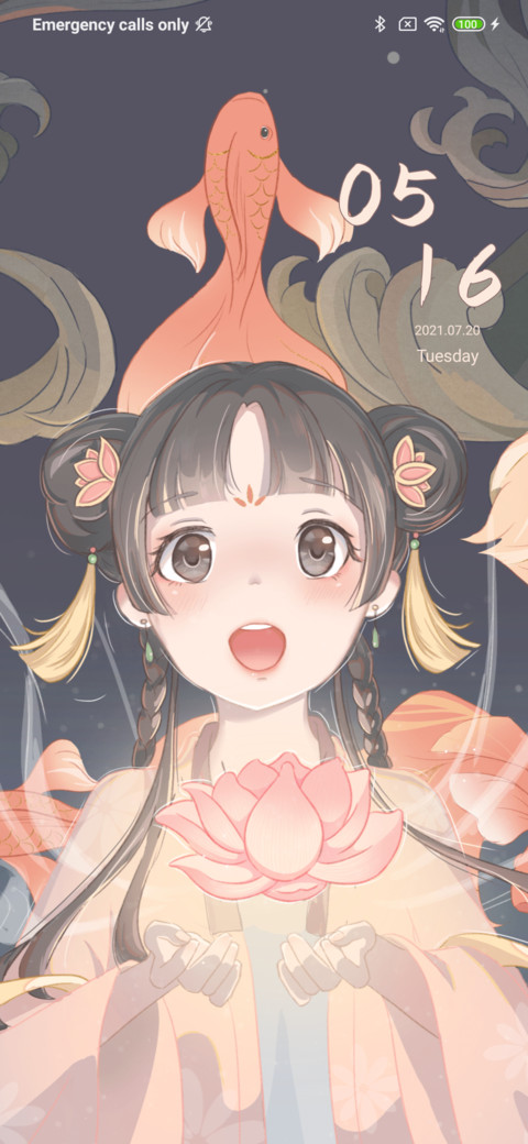 Koi Catching preview