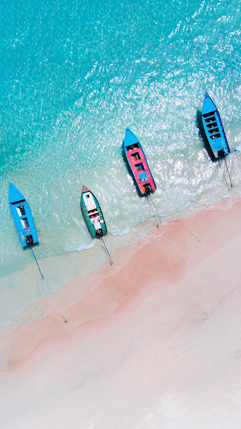 International-Paradise rose beach preview