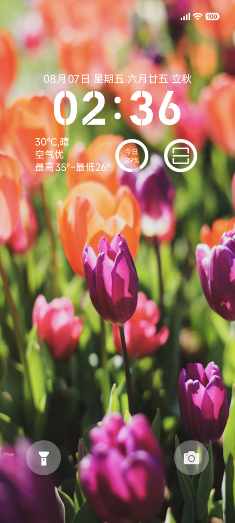 bloom preview