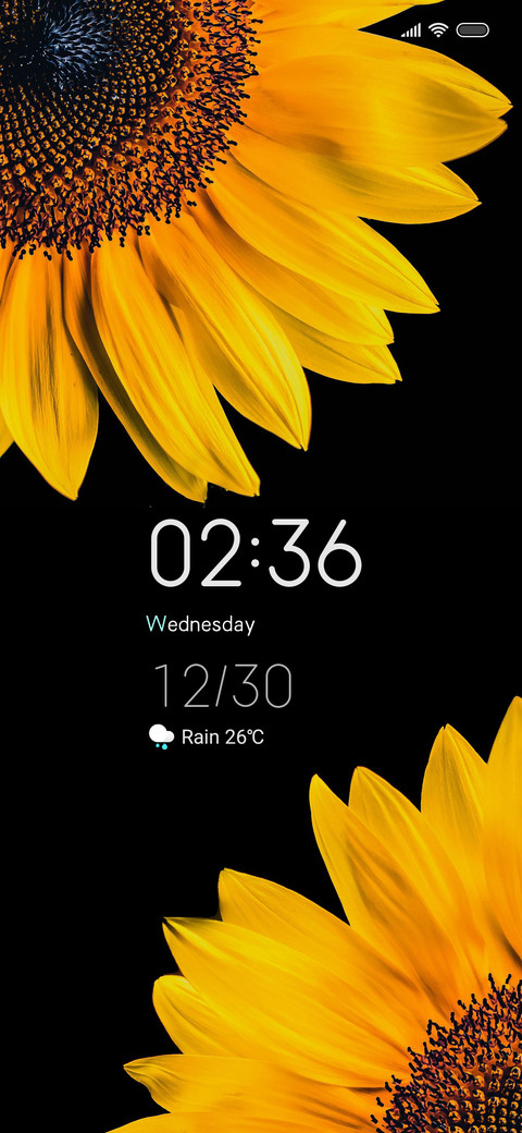 FlowerSun On preview
