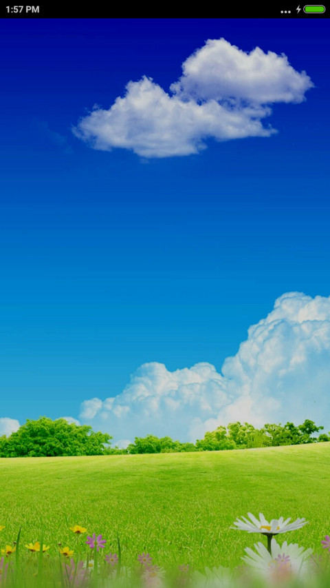 green Life miui theme