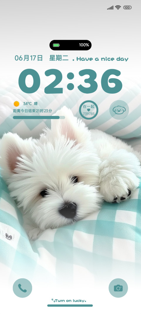 敲想你的 preview