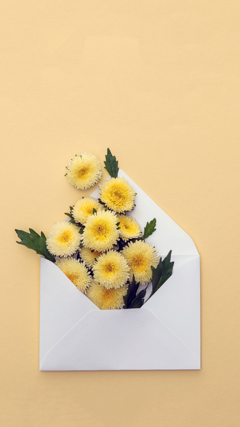 A Letter from Spring preview