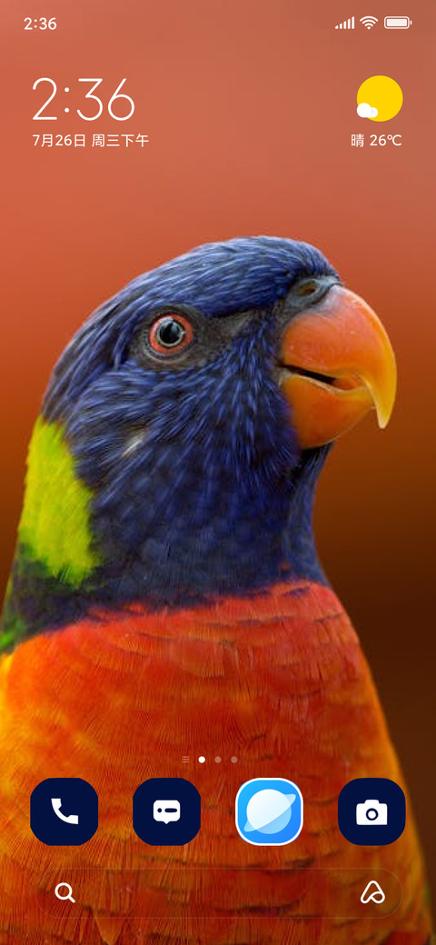 colorful bird preview
