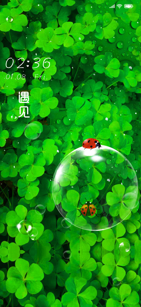 遇见幸运草绿色护眼 preview