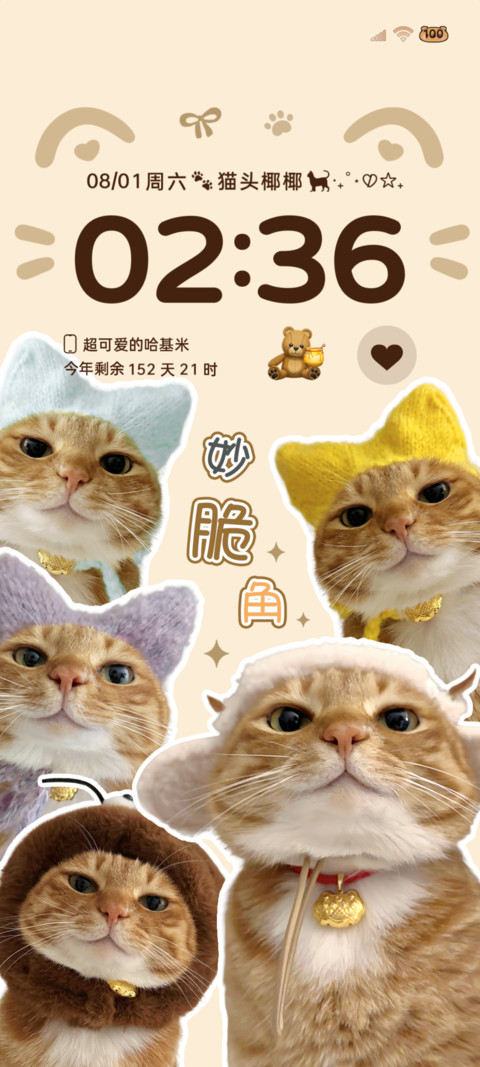 可爱猫猫头多图 preview