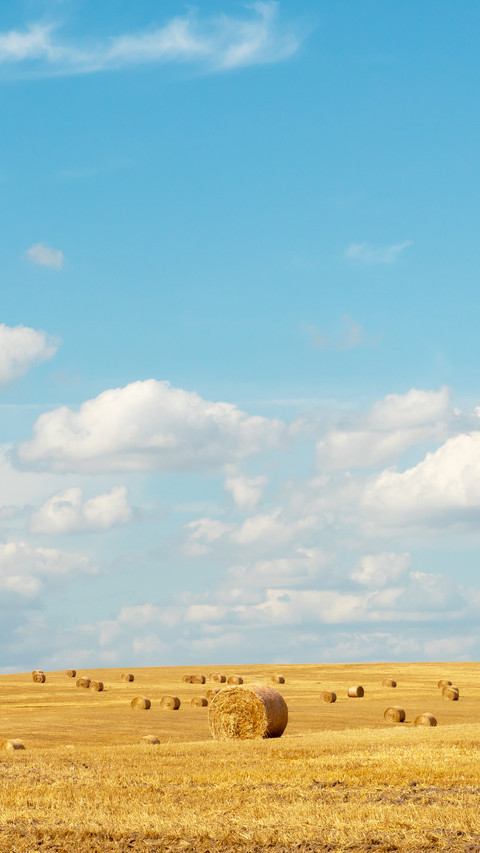 Hay bales dry in the field on a warm summer day preview