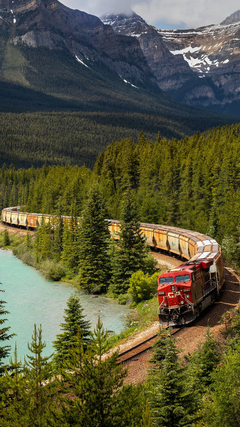 Train Running on The Railway by The Lake preview