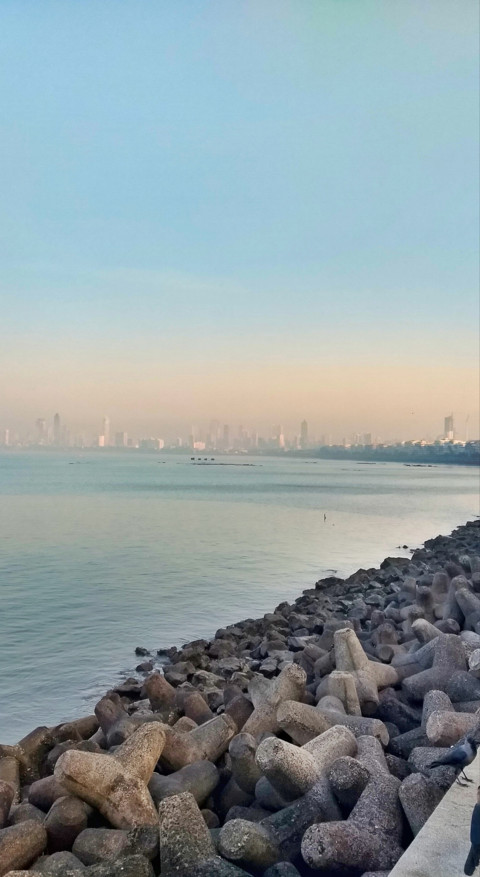 Mumbai Vibes (19) preview