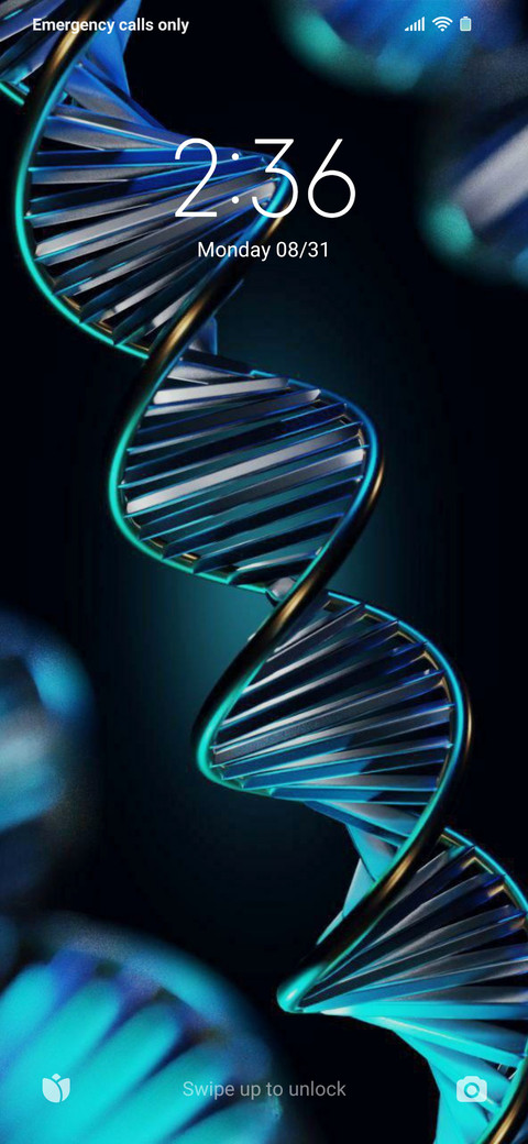 DNA v12 preview