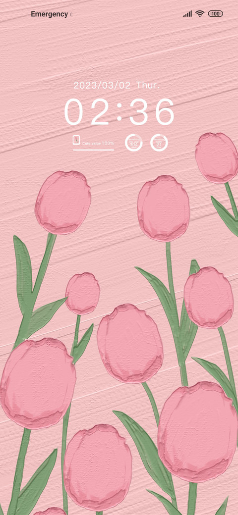 Romantic tulips preview